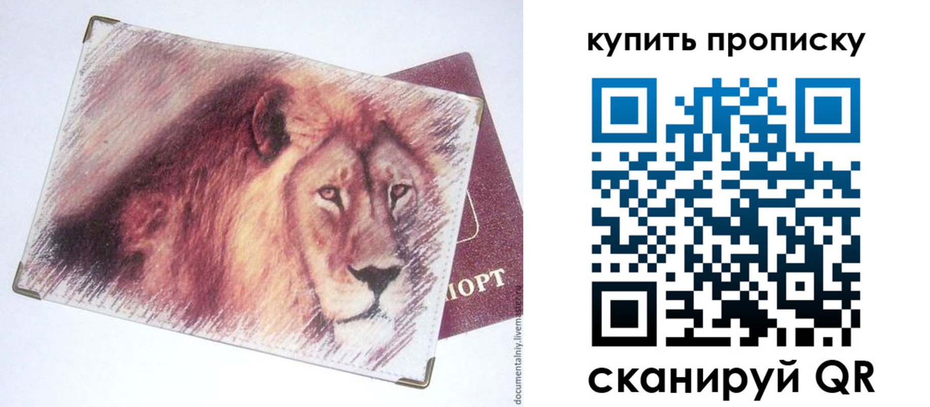 прописка паспорт в Касимове